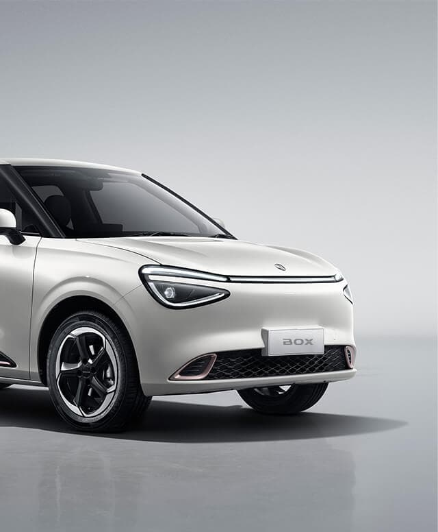 Dongfeng Box